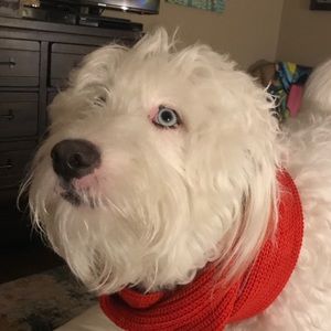 Meet your Posher, Patti